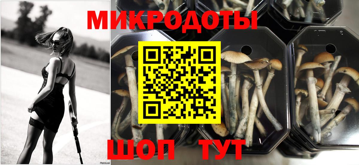 Котлас  даркнет сайт  Вход с VPN  Галлюциногенные грибы GOLDEN TEACHER 